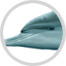 dolphin image