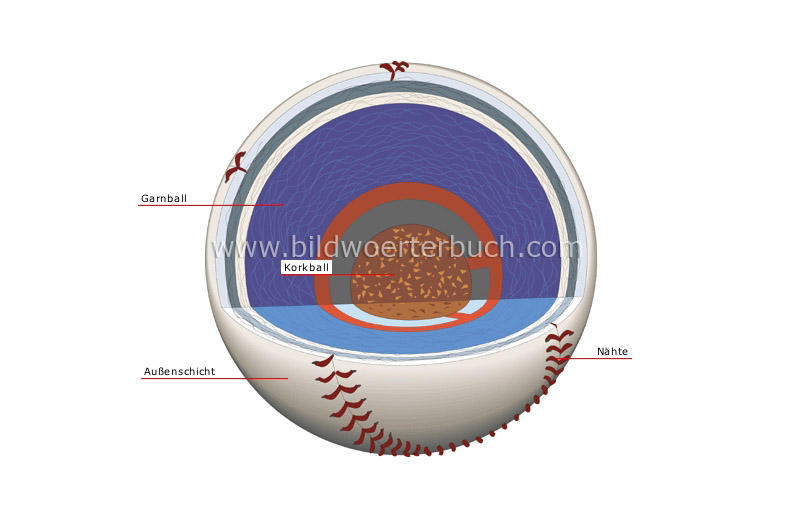 cross section of a baseball image