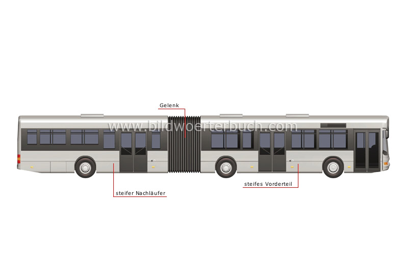 articulated bus image