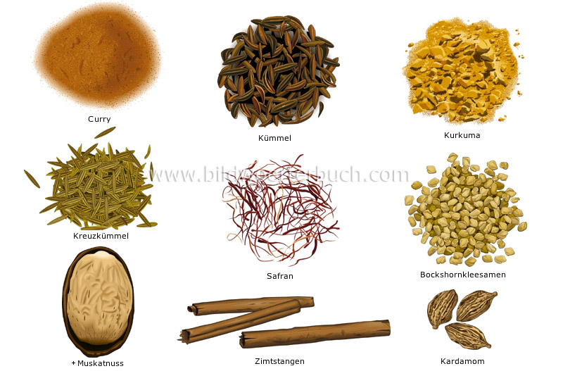 spices image