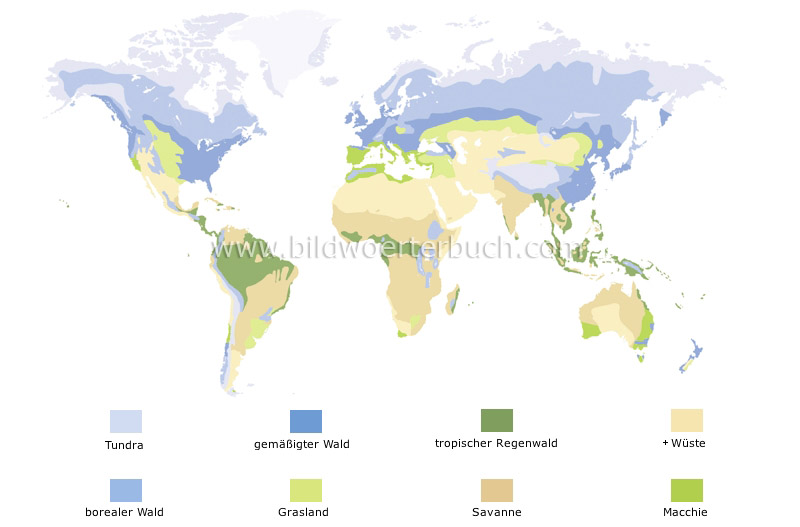 vegetation regions image