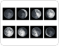 phases of the Moon image