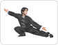 kung fu practitioner image