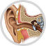 hearing image