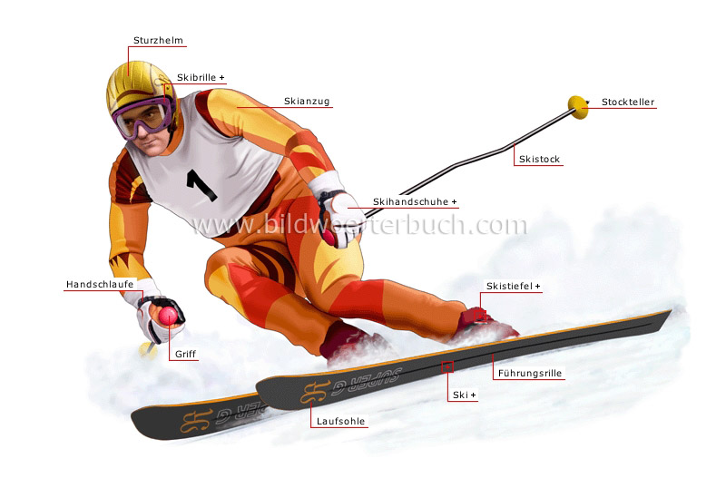 alpiner Skiläufer Bild