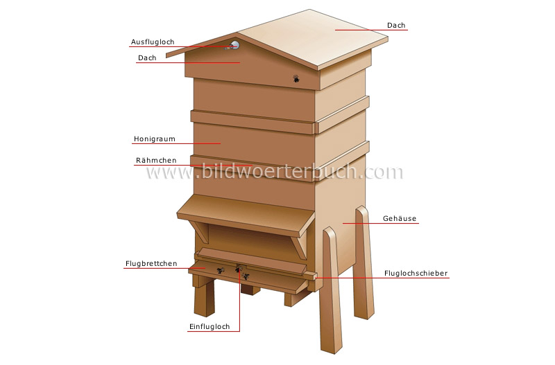 Bienenstock Bild
