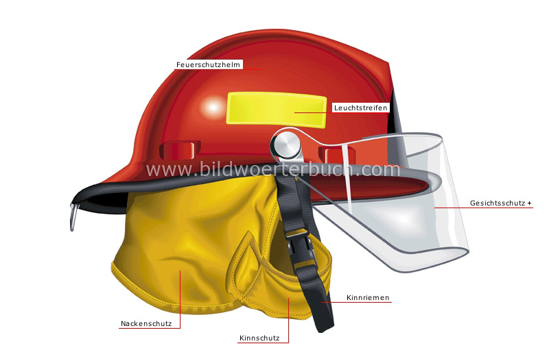 helmet image