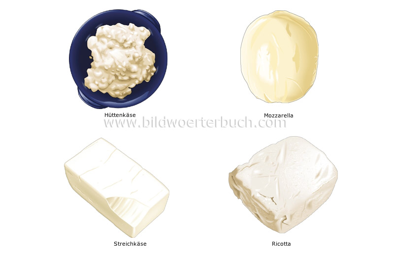 fresh cheeses image