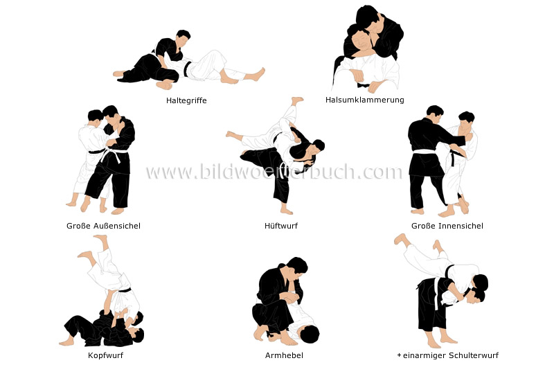 examples of holds and throws image