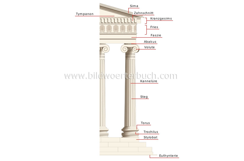 ionische Säulenordnung Bild