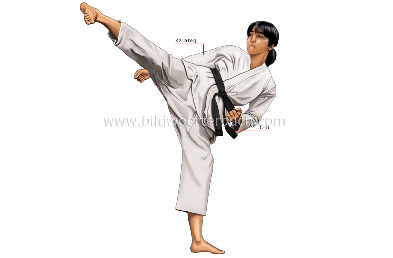 Karateka Bild