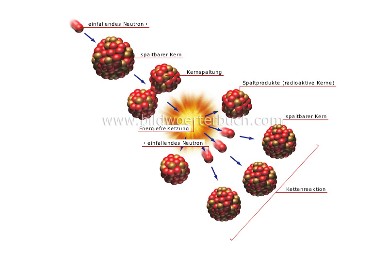 nuclear fission image