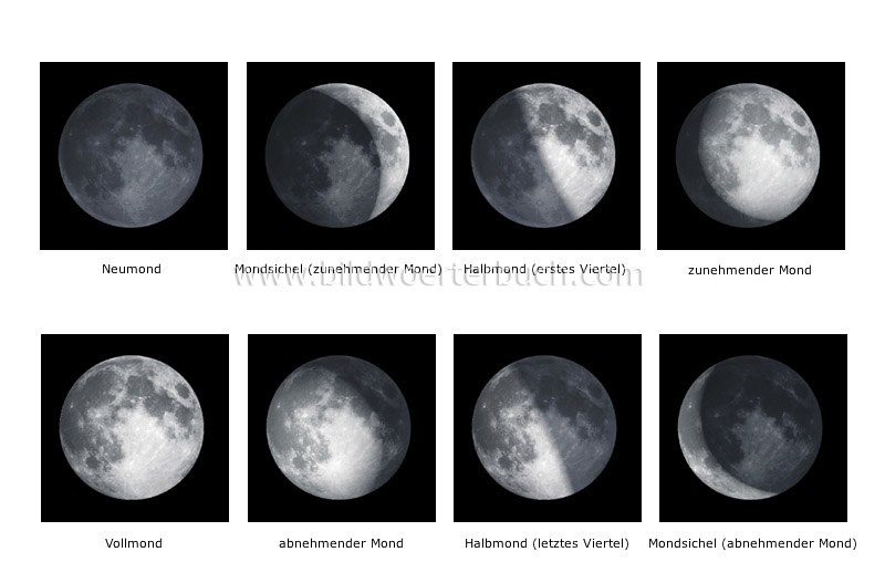 Mondphasen Bild
