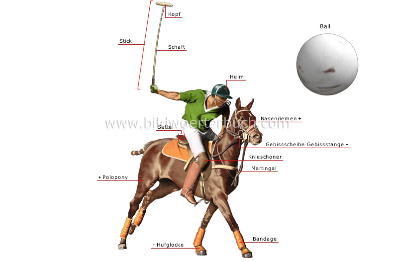 Reiter und Pferd Bild