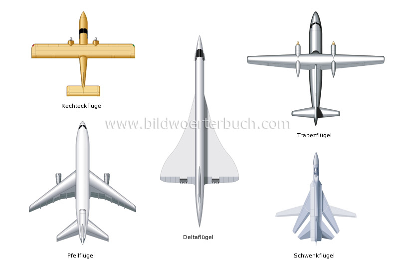 examples of wing shapes image