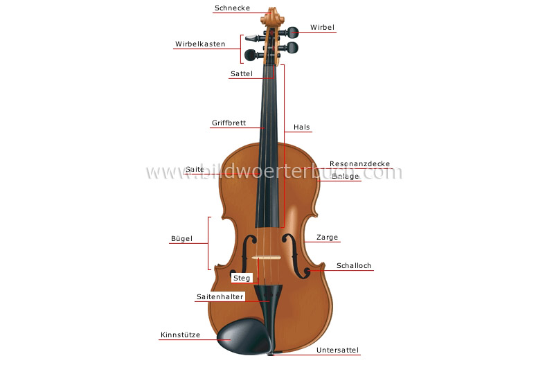 Violine Bild