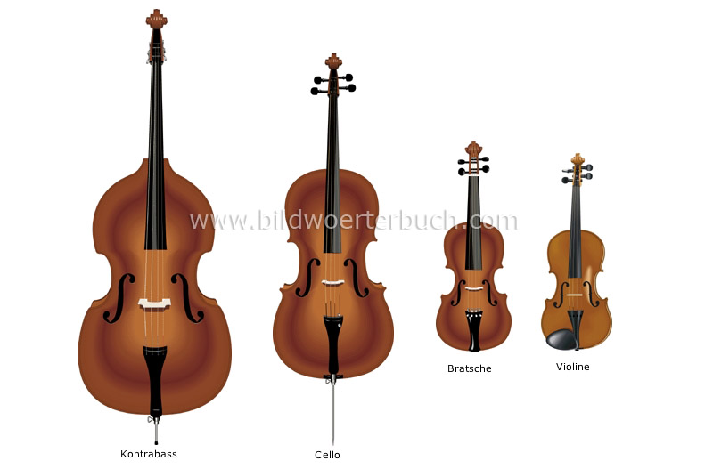violin family image
